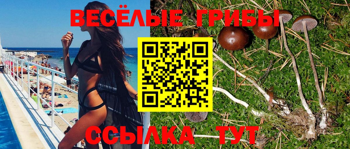Псилоцибиновые грибы MAGIC MUSHROOMS Россошь